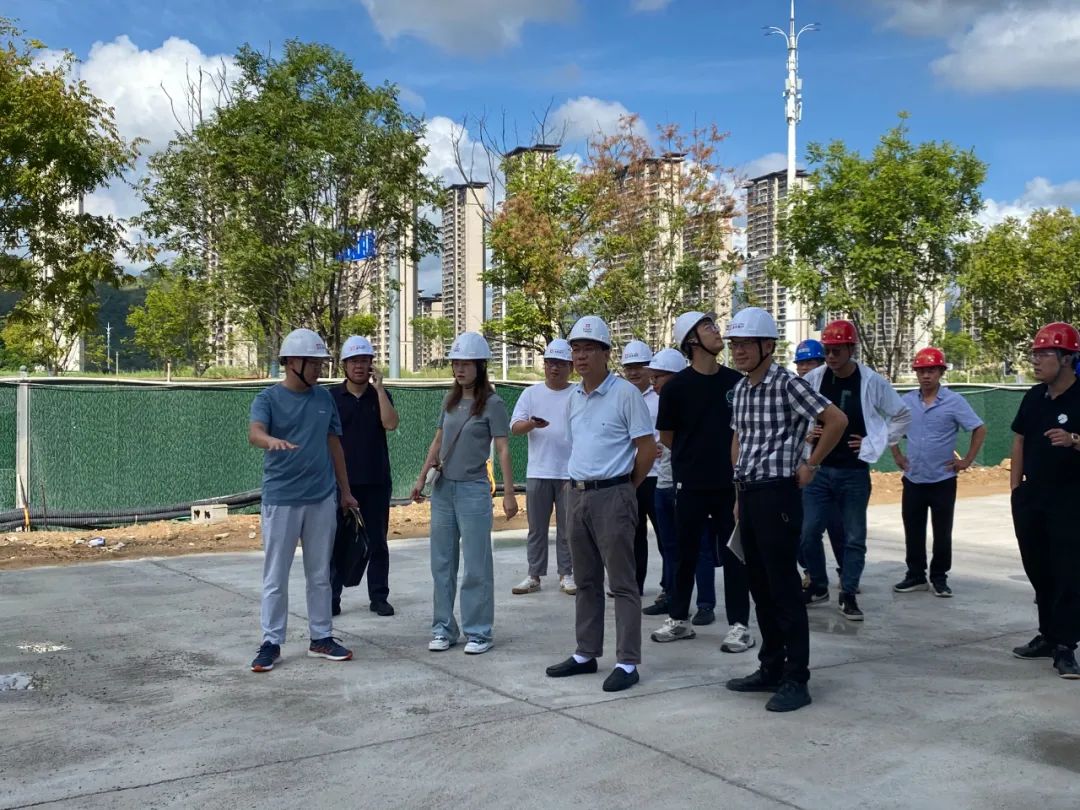 市多多28官网公司领导赴下属企业开展两节前安全检查工作