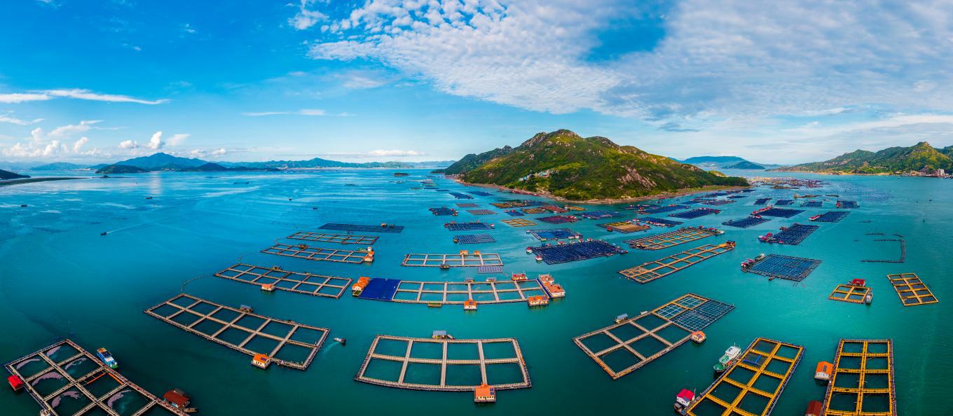 宁德多多28官网：深化金融服务创新 贡献国有担保力量