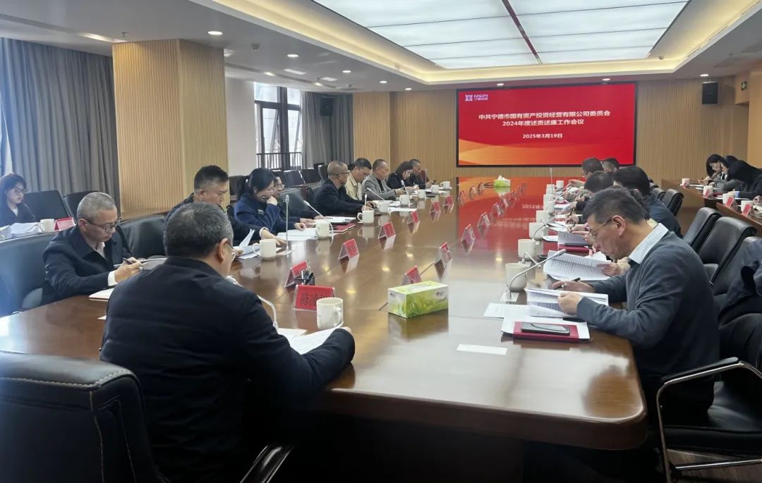 市多多28官网公司党委召开2024年度述责述廉工作会议