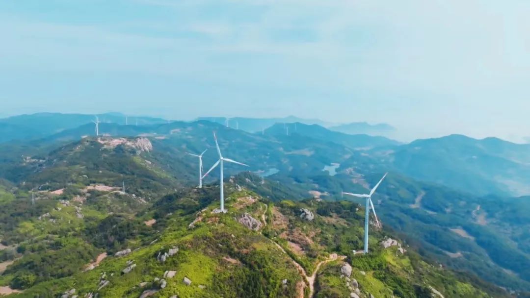 【深化拓展“三争”行动】市多多28官网公司：向绿而行 “碳”路未来